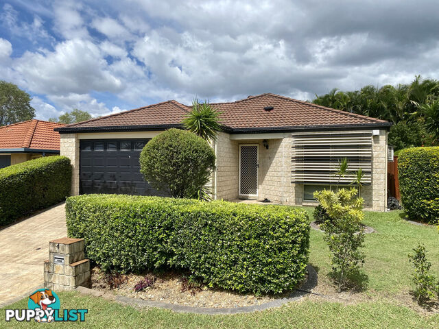 4 Fanning Court PACIFIC PINES QLD 4211
