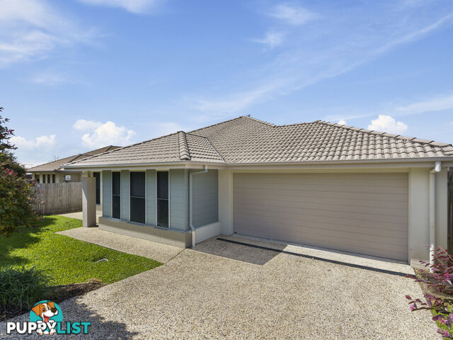 18 Hadrian Crescent PACIFIC PINES QLD 4211