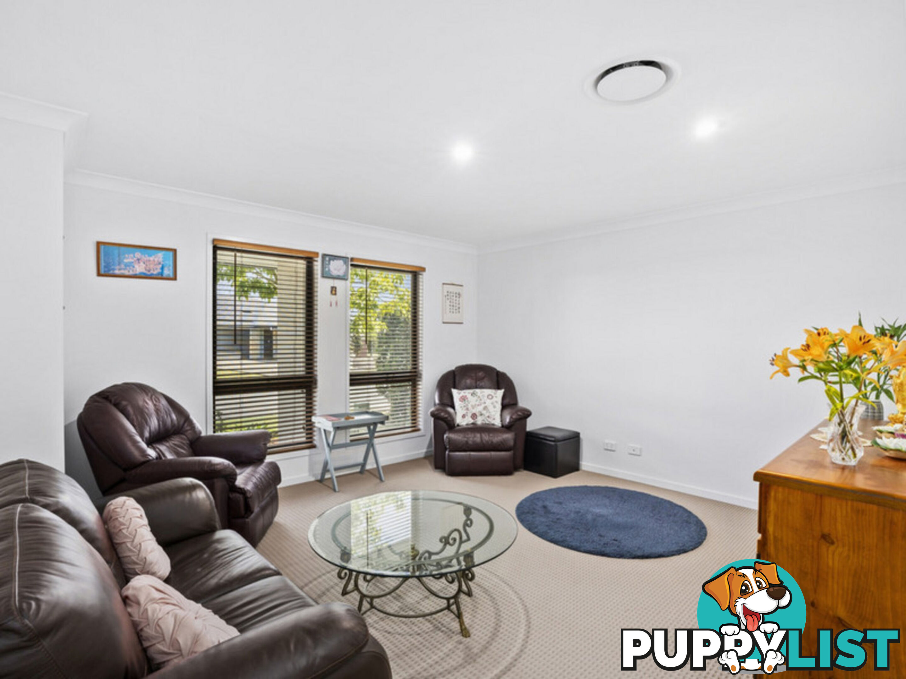 5 Conimbla Street PIMPAMA QLD 4209