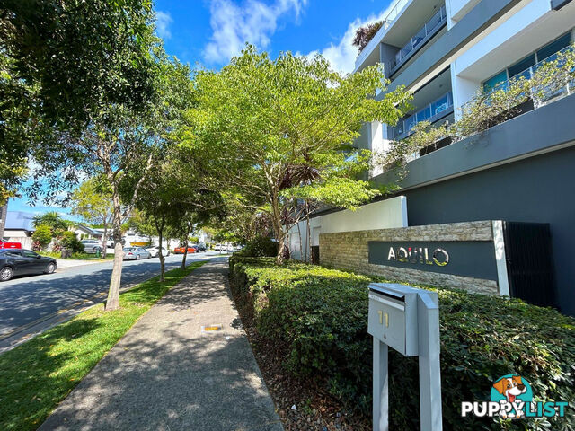 308/11 Compass Drive BIGGERA WATERS QLD 4216