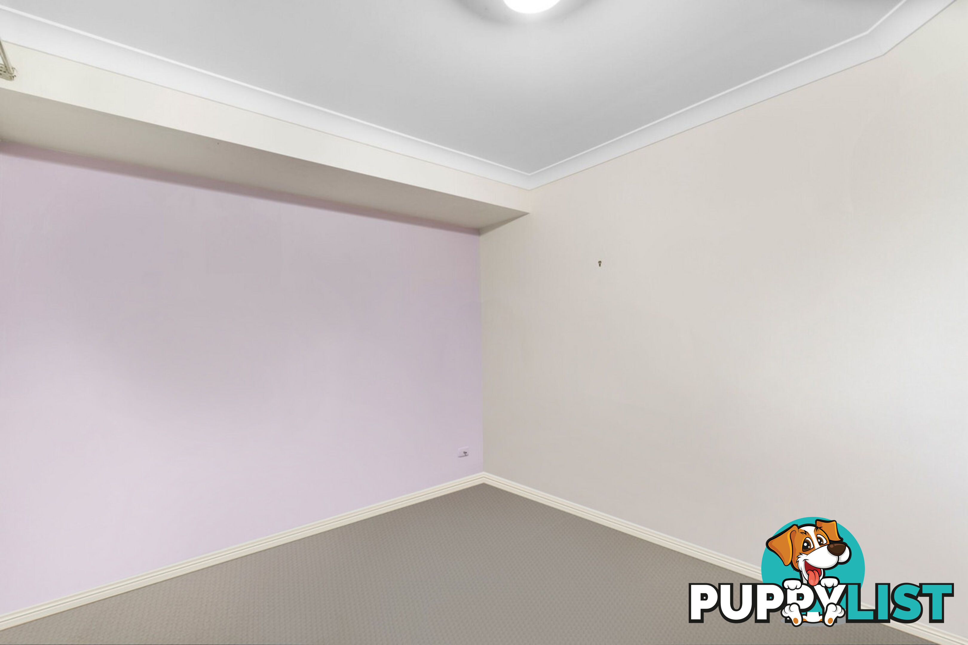 9 Shelly Place UPPER COOMERA QLD 4209