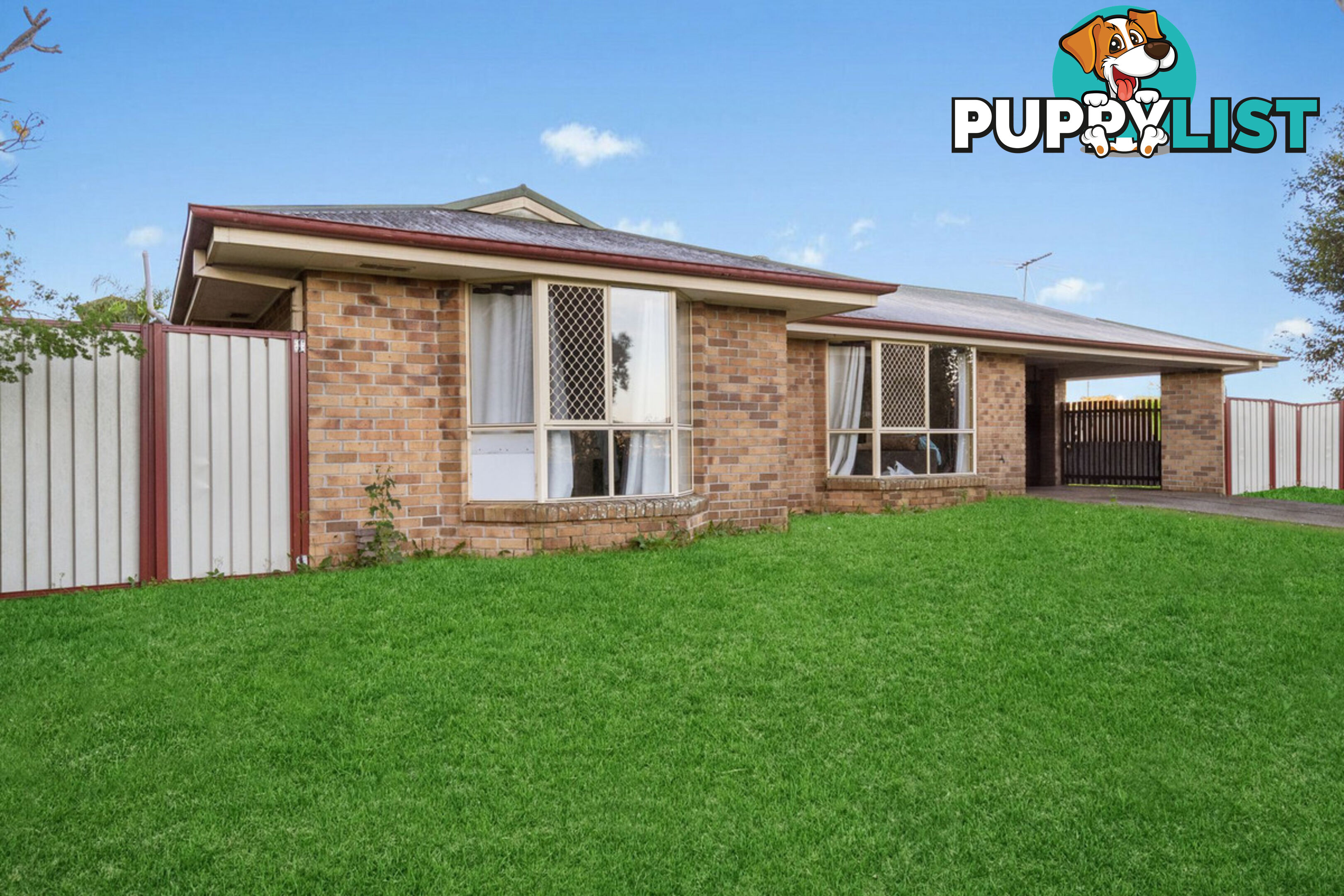 9 Shelly Place UPPER COOMERA QLD 4209