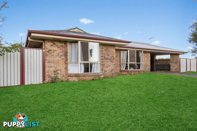 9 Shelly Place UPPER COOMERA QLD 4209