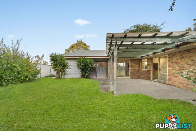 9 Shelly Place UPPER COOMERA QLD 4209