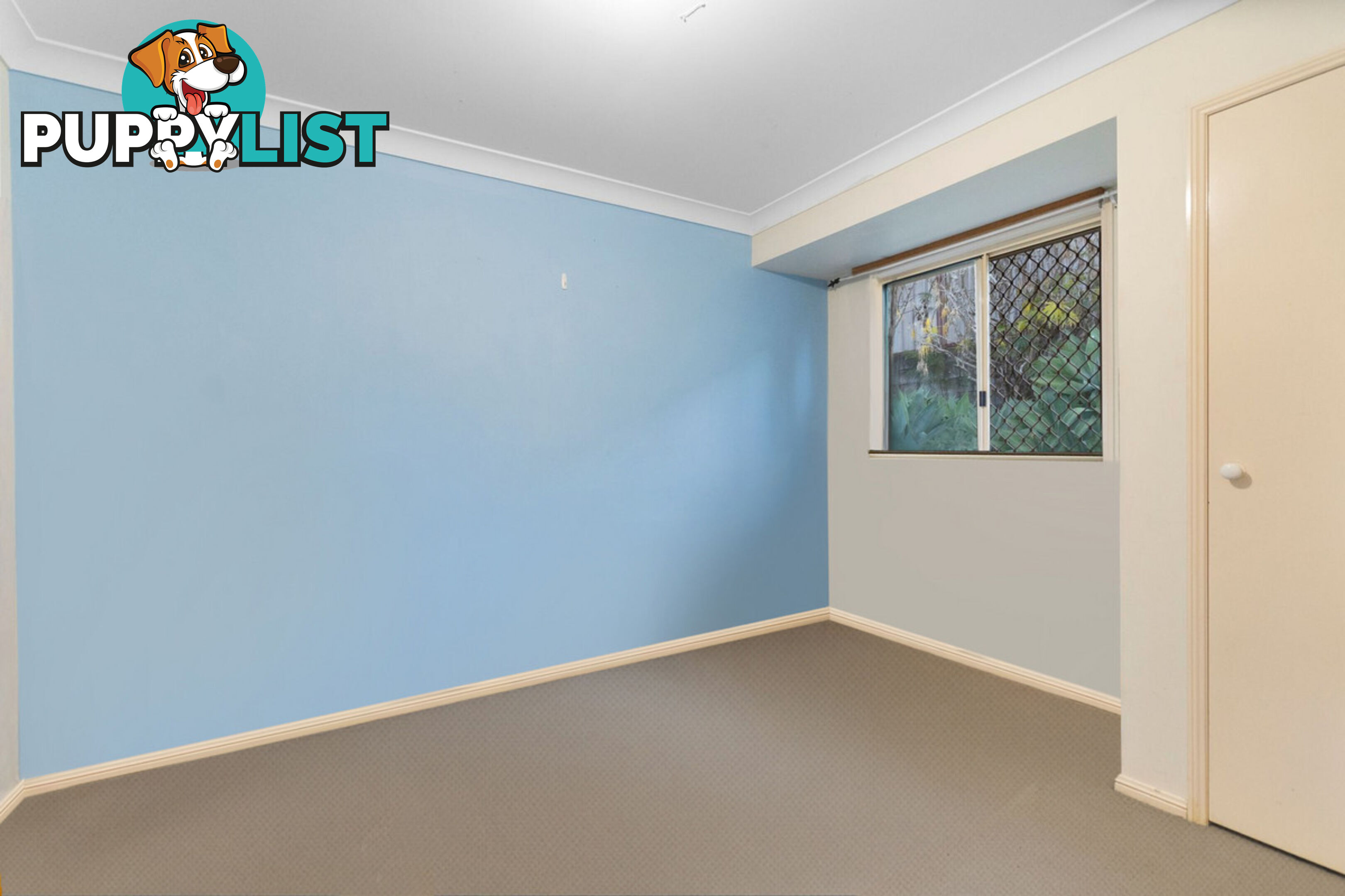 9 Shelly Place UPPER COOMERA QLD 4209