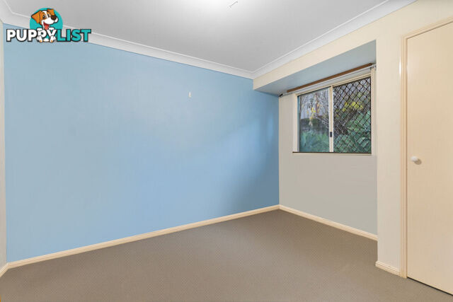 9 Shelly Place UPPER COOMERA QLD 4209