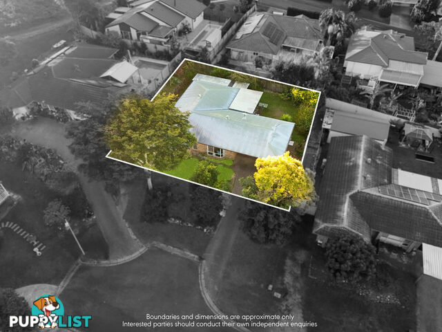 9 Shelly Place UPPER COOMERA QLD 4209