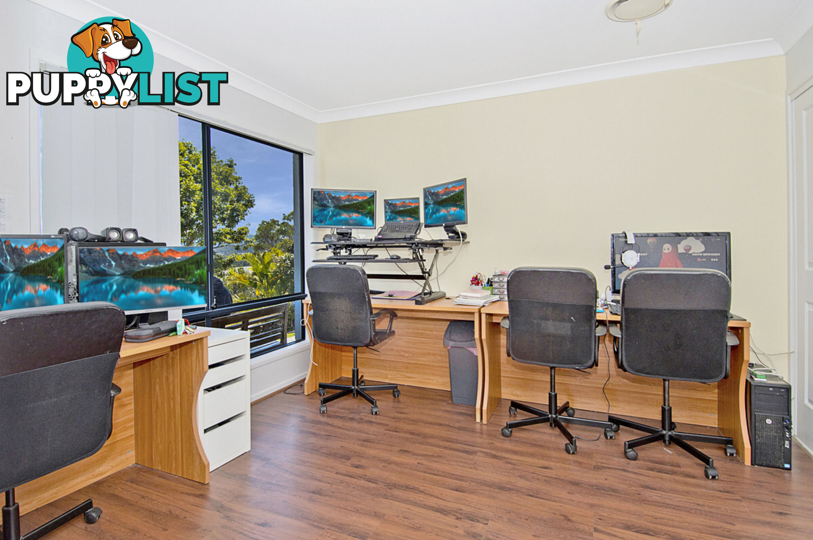 17 Sangster Crescent PACIFIC PINES QLD 4211