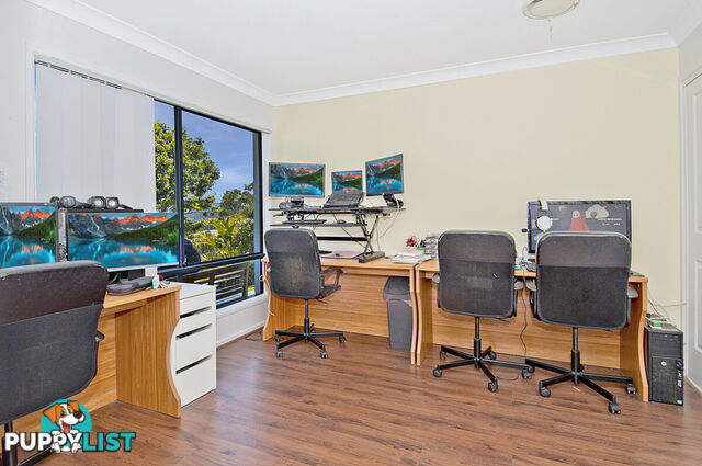 17 Sangster Crescent PACIFIC PINES QLD 4211