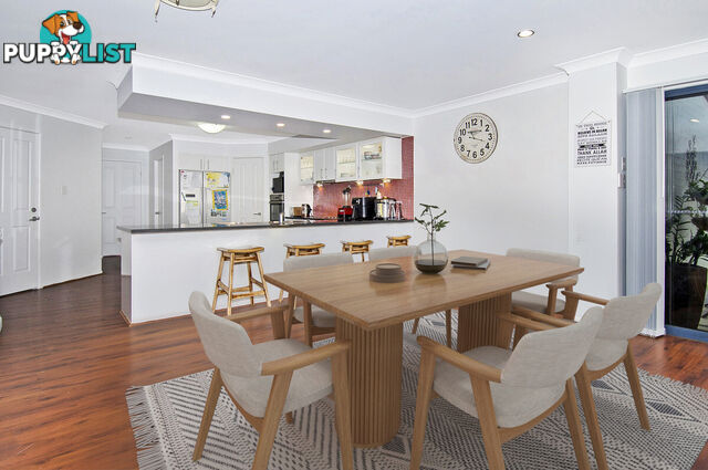 17 Sangster Crescent PACIFIC PINES QLD 4211