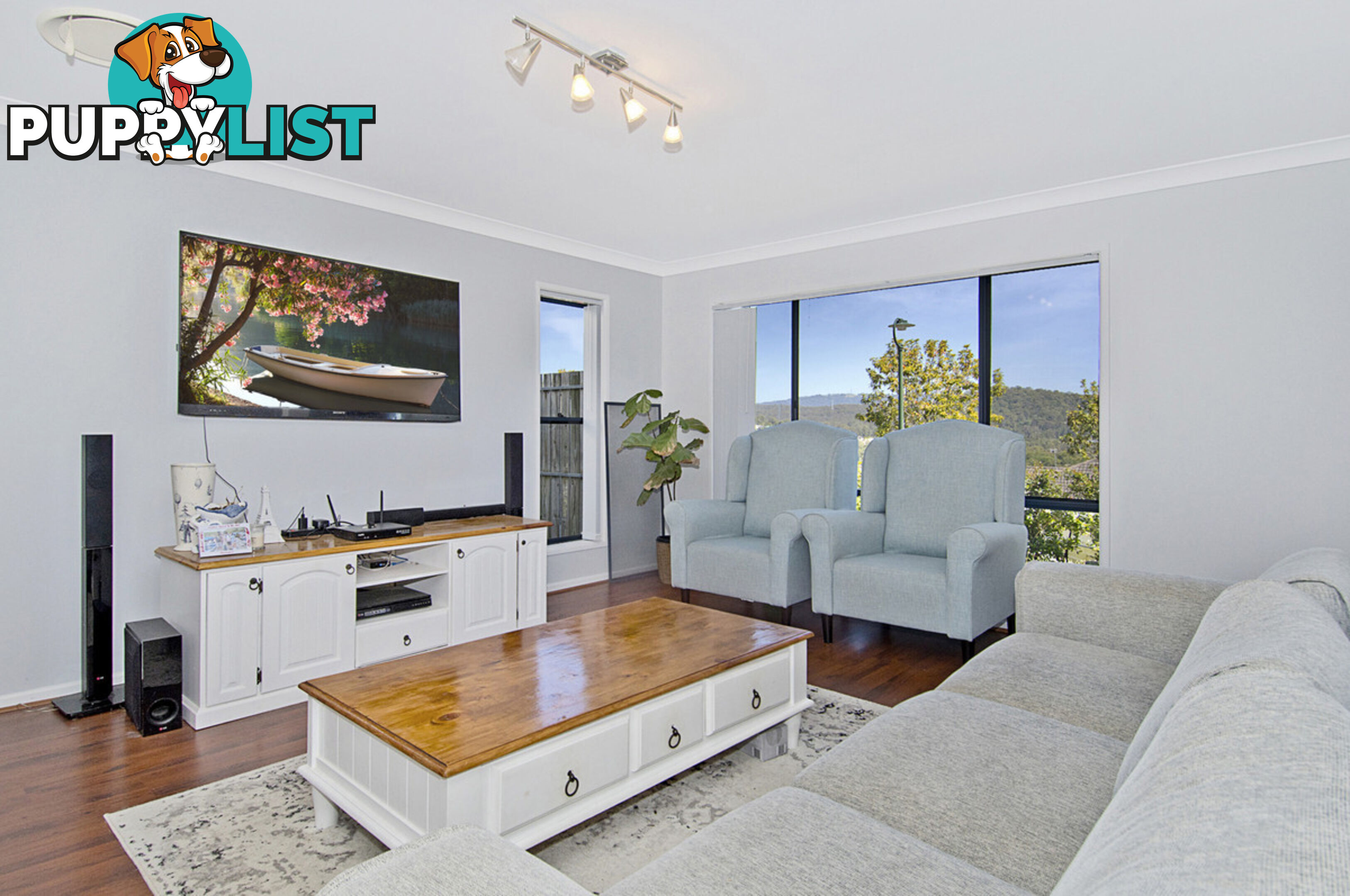 17 Sangster Crescent PACIFIC PINES QLD 4211
