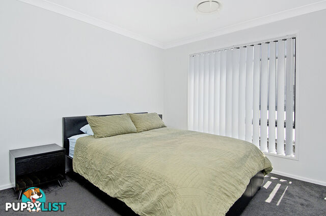 17 Sangster Crescent PACIFIC PINES QLD 4211