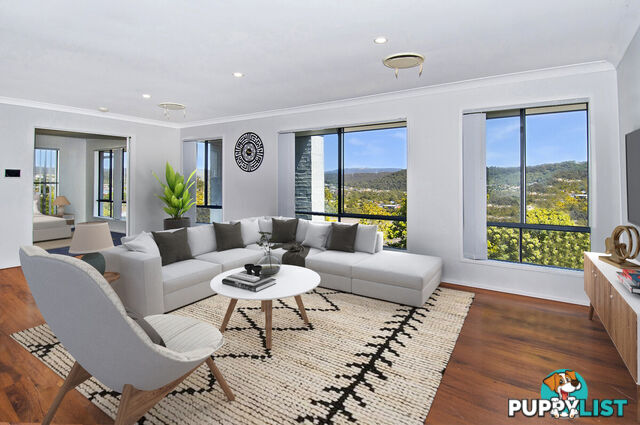 17 Sangster Crescent PACIFIC PINES QLD 4211