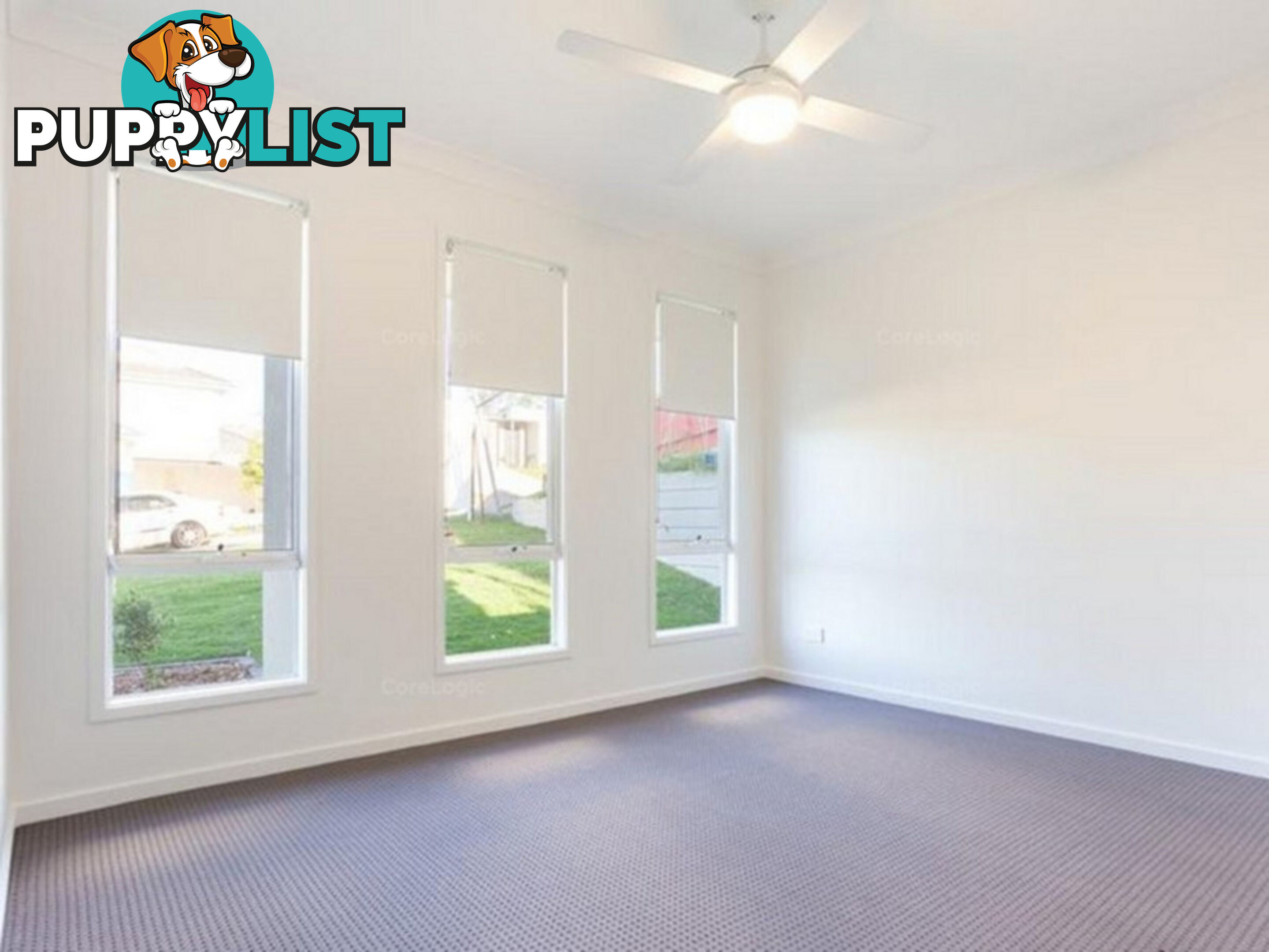 4 Park Street MAUDSLAND QLD 4210