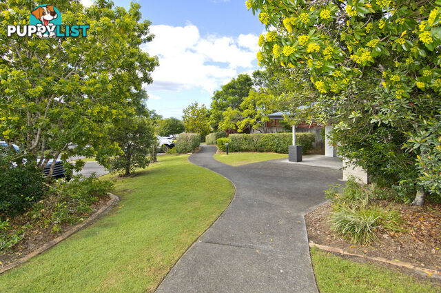 95/31 Archipelago Street PACIFIC PINES QLD 4211