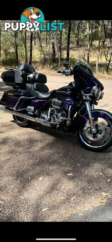 2021 Harley-Davidson CVO Limited 117 (FLHTKSE)