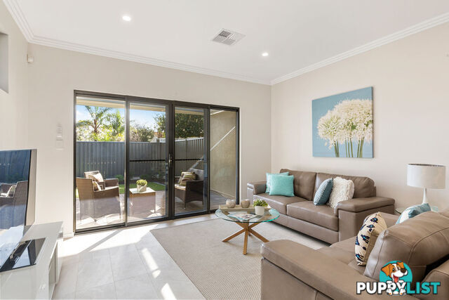 11 Kelmscott Street OAKLANDS PARK SA 5046