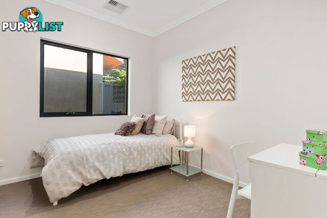 11 Kelmscott Street OAKLANDS PARK SA 5046