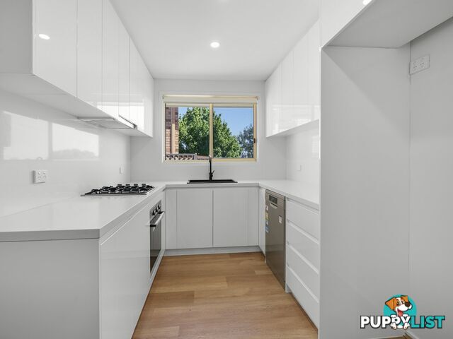 2/13 Porter Street MINTO NSW 2566