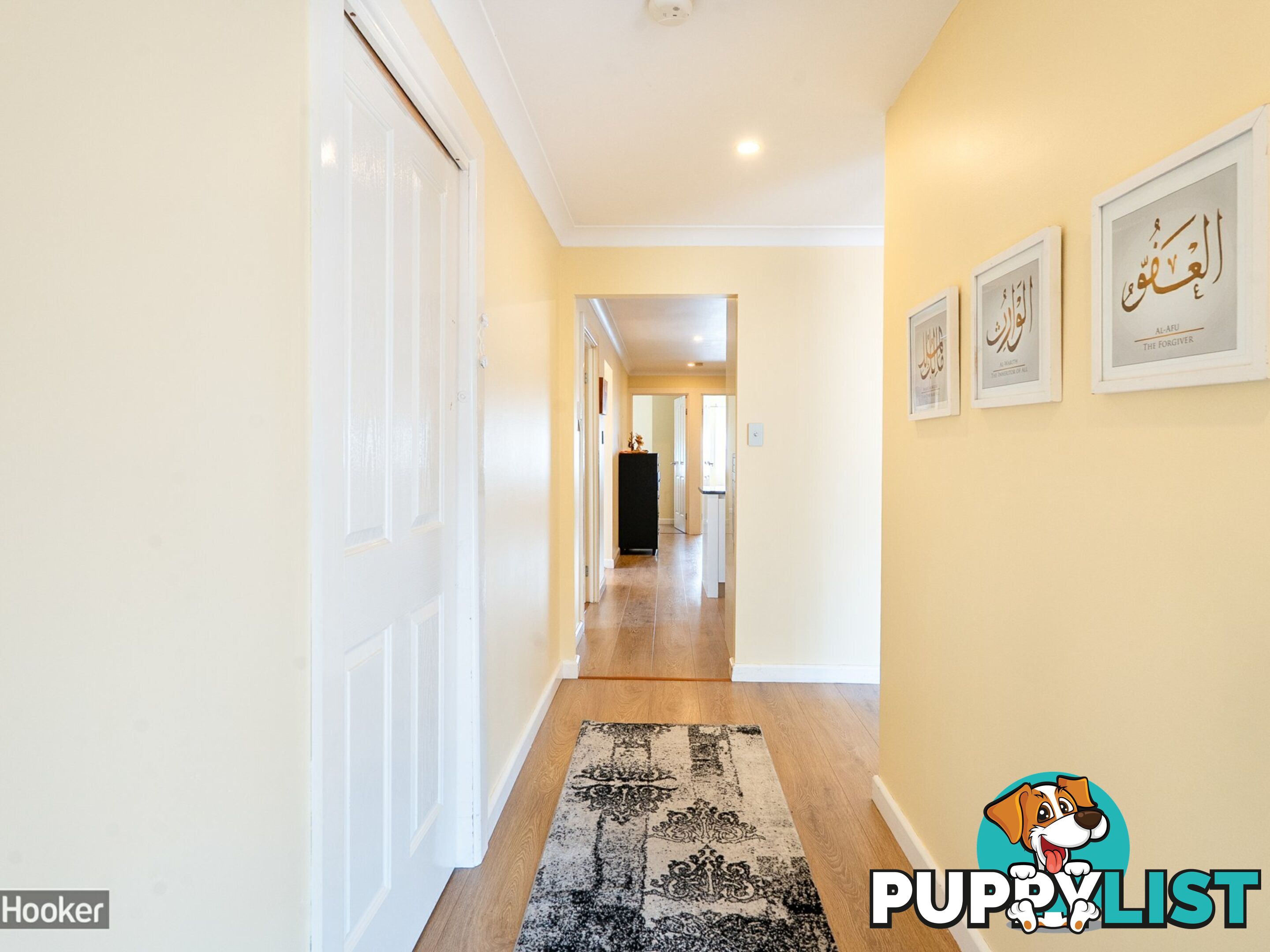 11 Theseus Circuit ROSEMEADOW NSW 2560