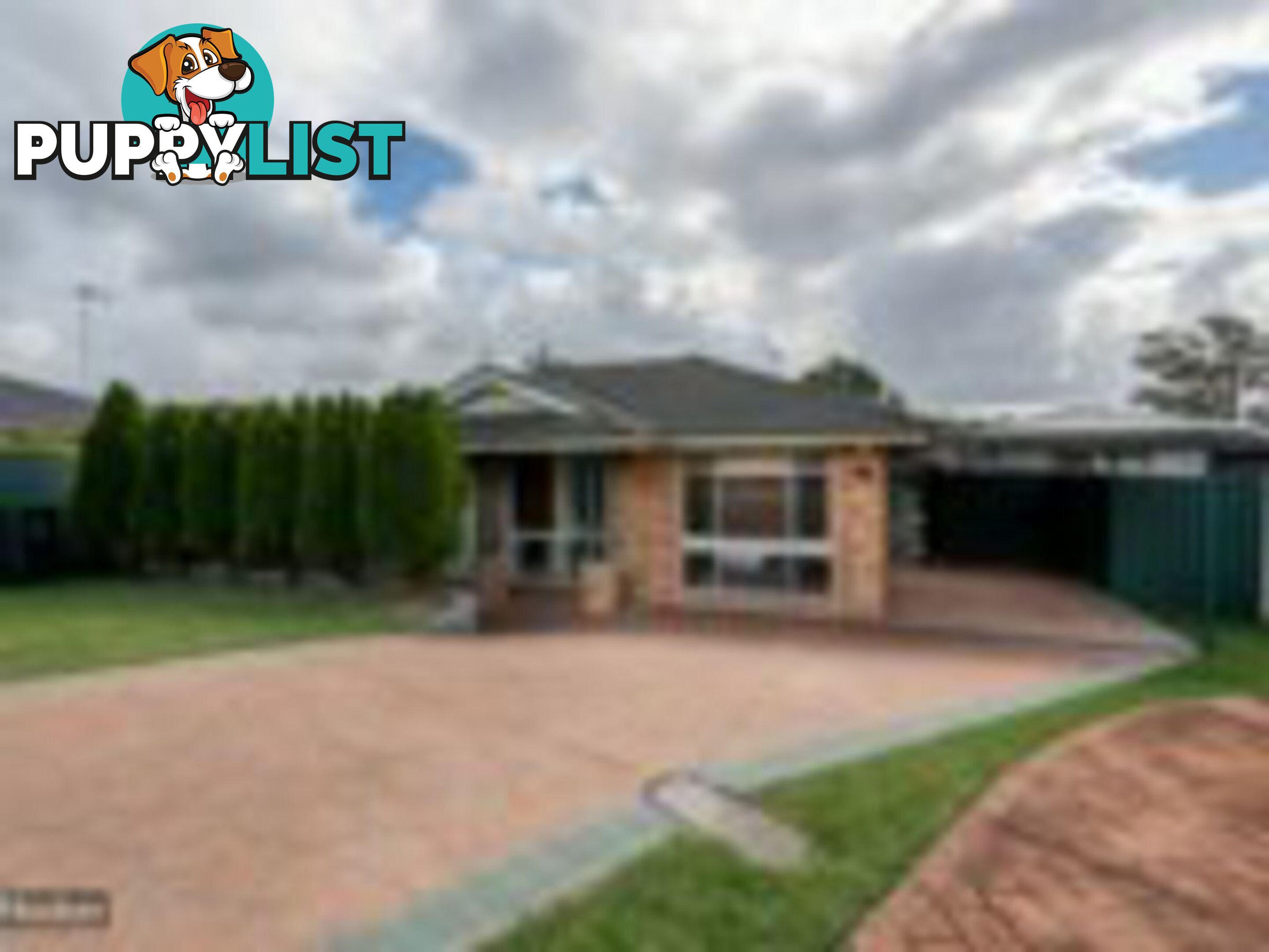 11 Theseus Circuit ROSEMEADOW NSW 2560
