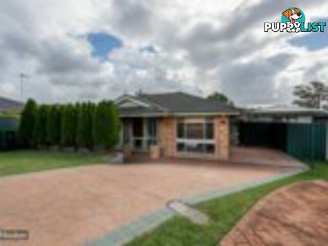 11 Theseus Circuit ROSEMEADOW NSW 2560