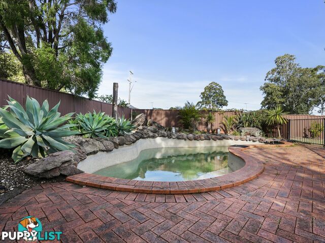 11 Herborn Place MINTO NSW 2566