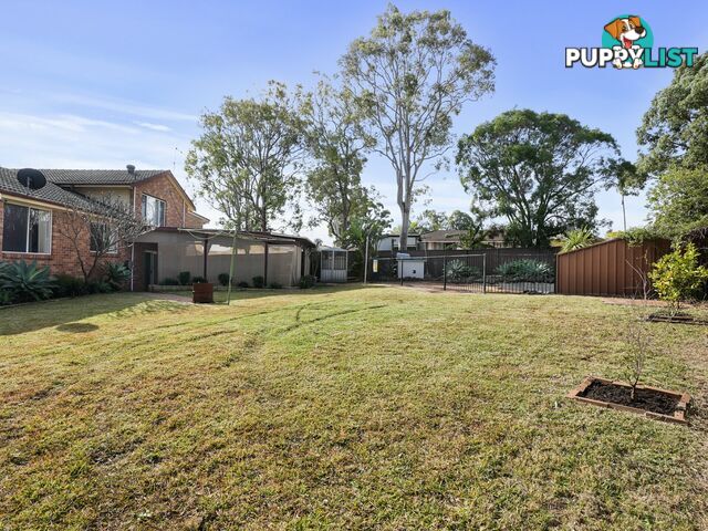 11 Herborn Place MINTO NSW 2566