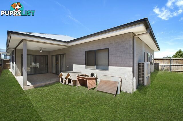 3 Downing Way GLEDSWOOD HILLS NSW 2557