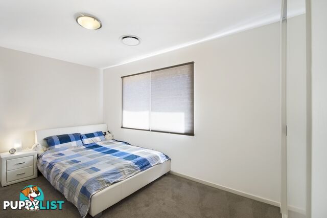 3 Downing Way GLEDSWOOD HILLS NSW 2557