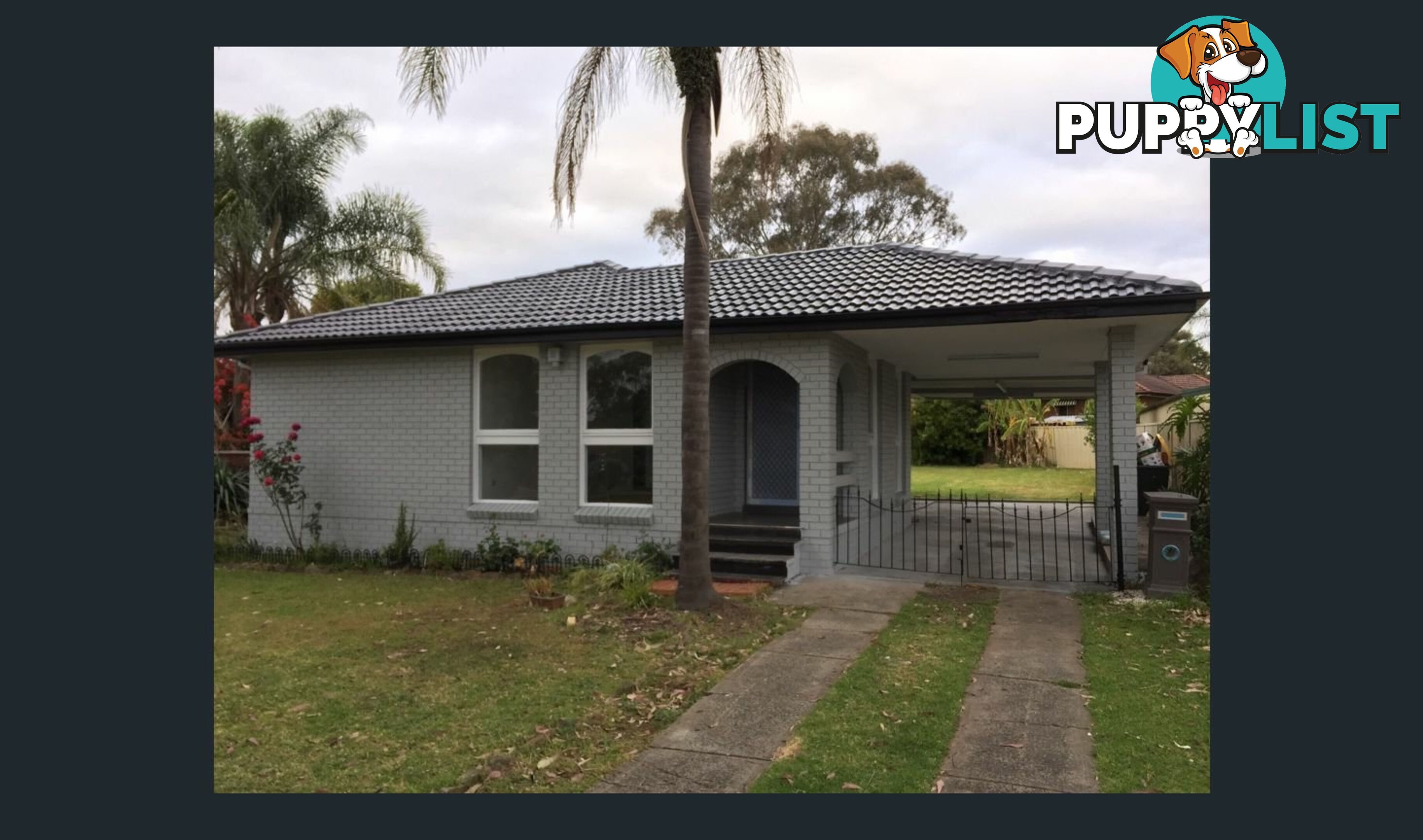 19 Lillas Place MINTO NSW 2566