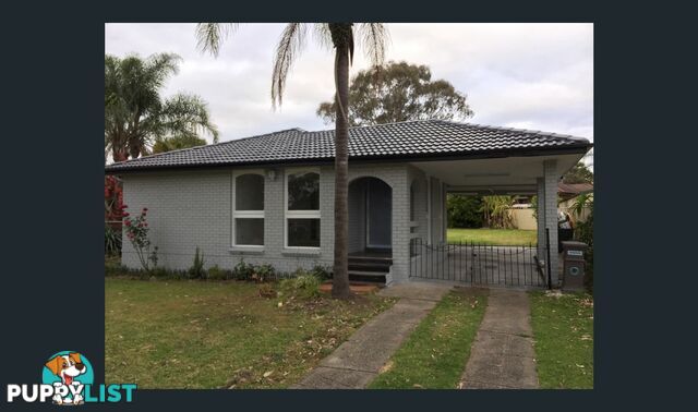 19 Lillas Place MINTO NSW 2566