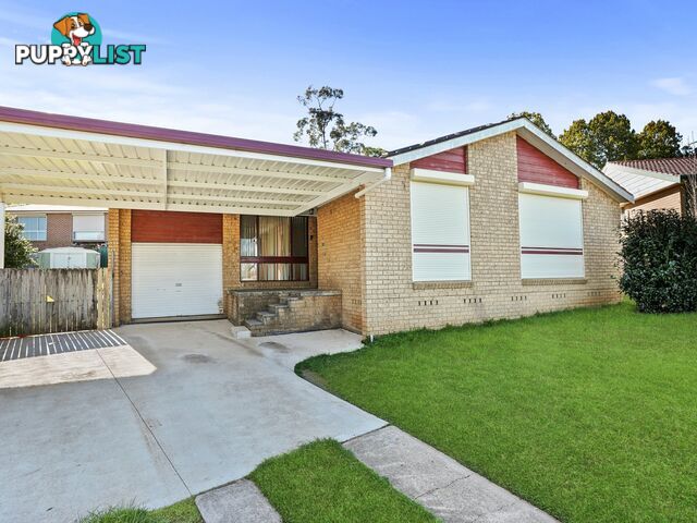 62 Randall Avenue MINTO NSW 2566