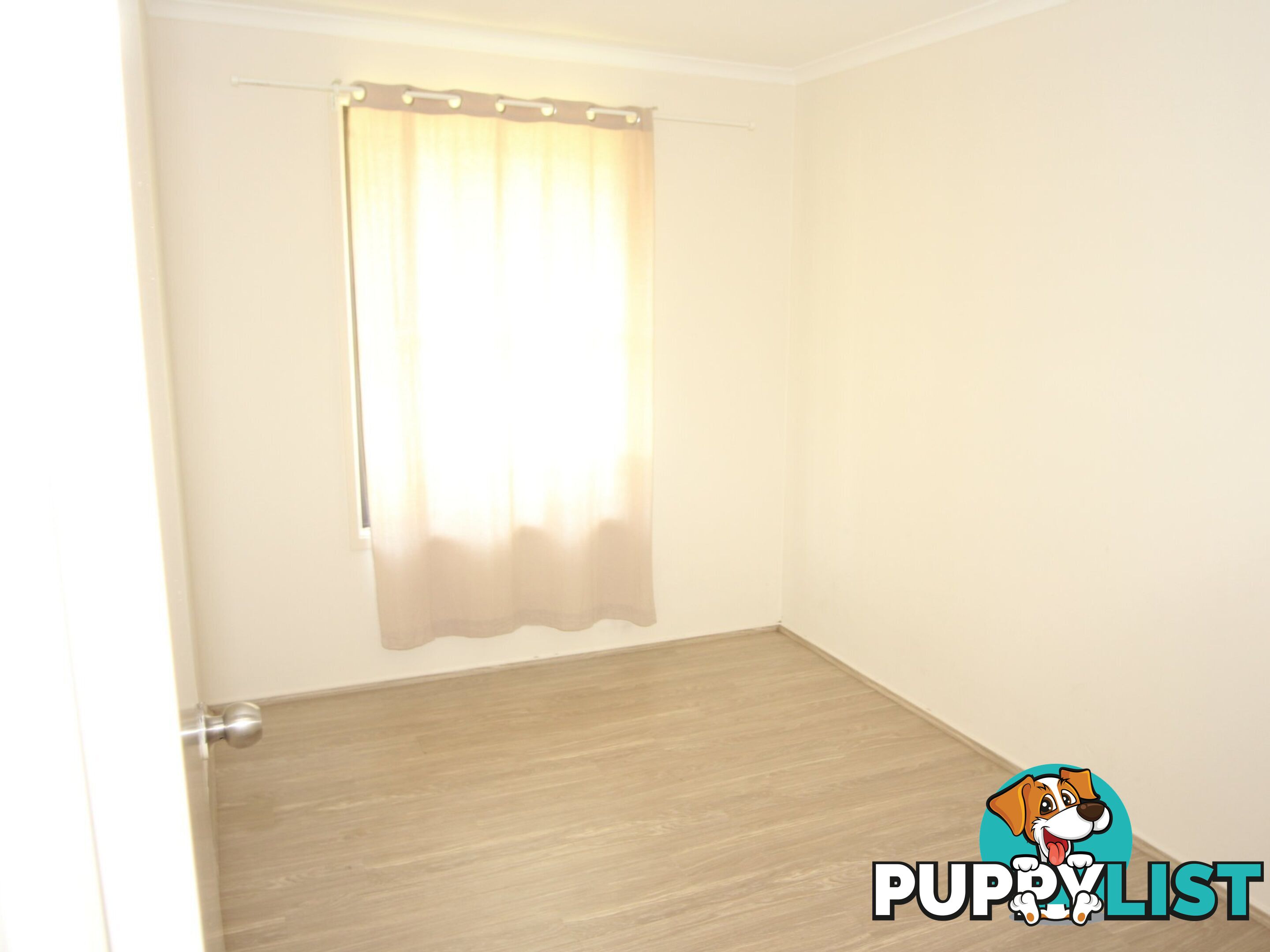 12 Plowman Road MINTO NSW 2566