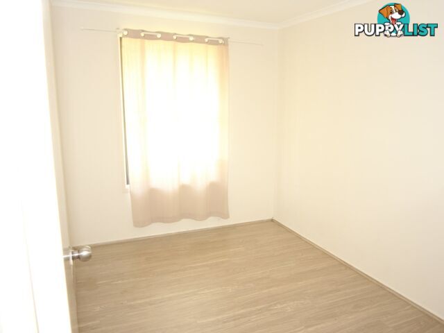 12 Plowman Road MINTO NSW 2566