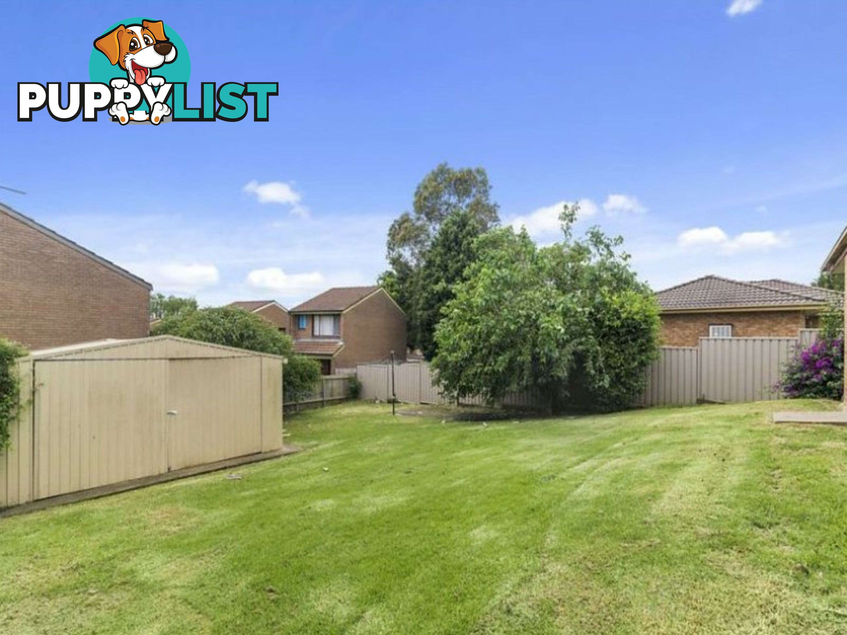 12 Plowman Road MINTO NSW 2566