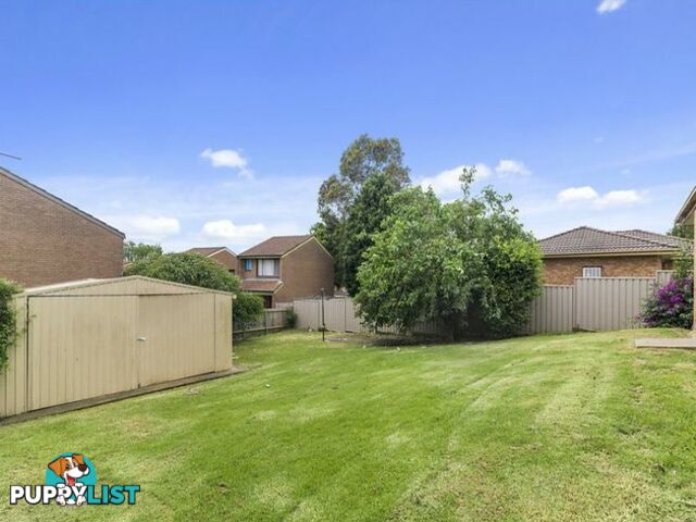 12 Plowman Road MINTO NSW 2566