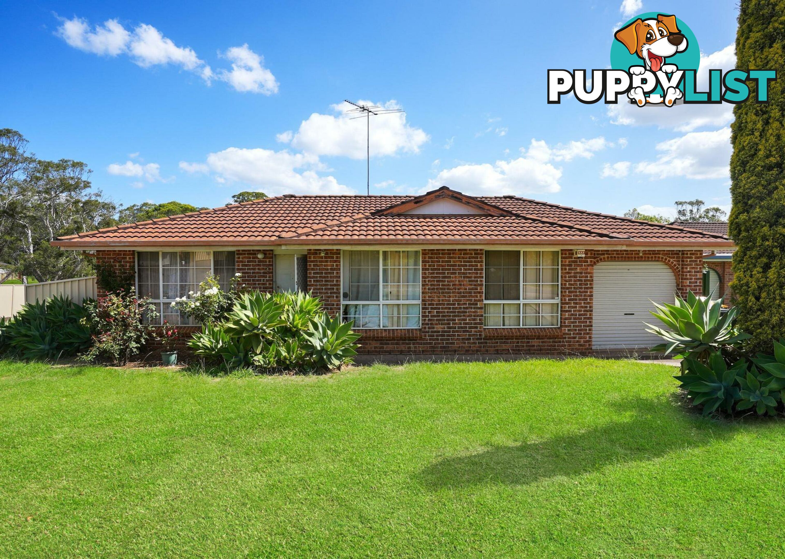 3 Glenella Way MINTO NSW 2566