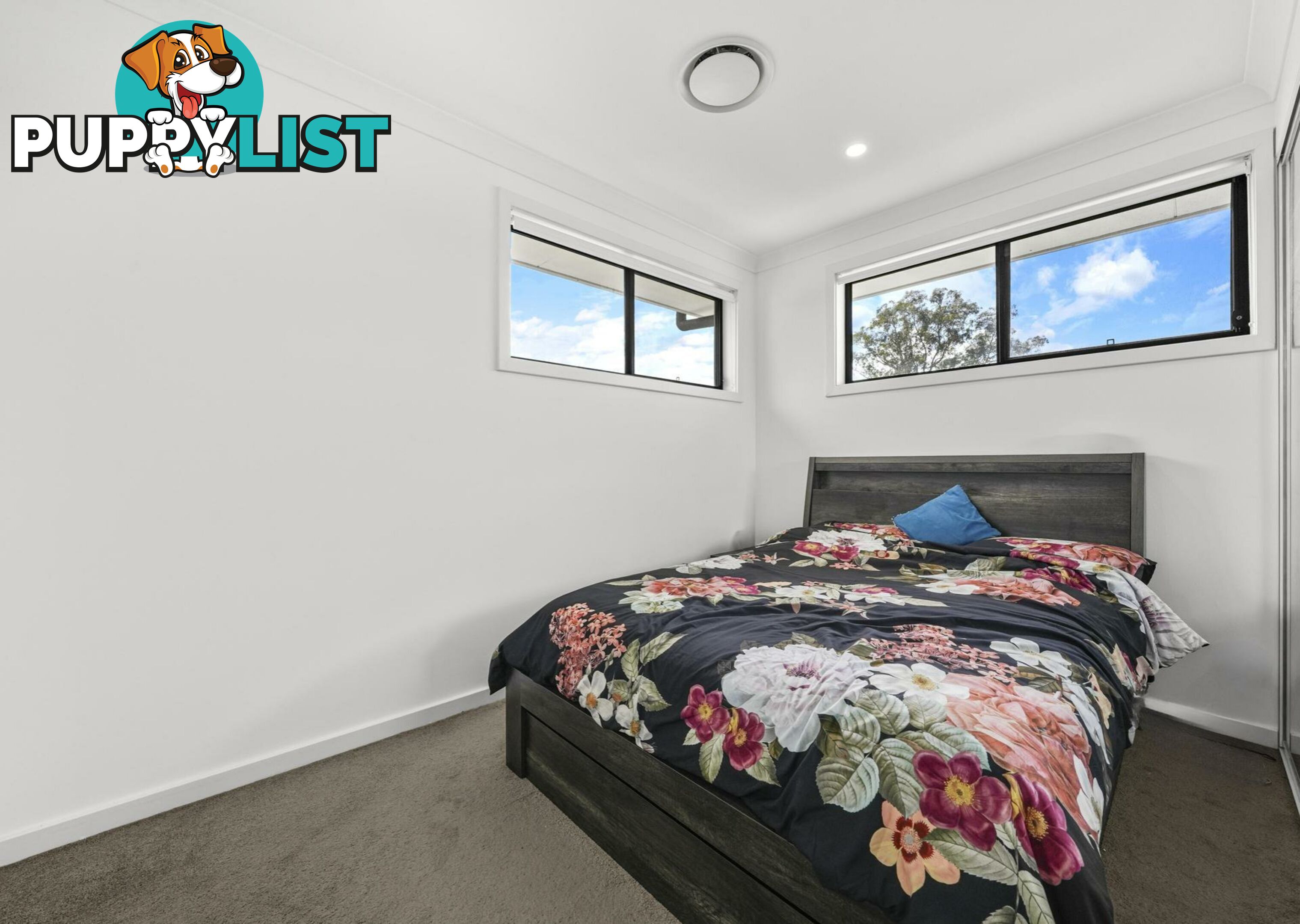 3/8 Durham Street MINTO NSW 2566