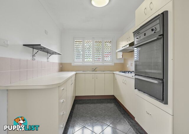 6/29 Blackwood Avenue MINTO NSW 2566