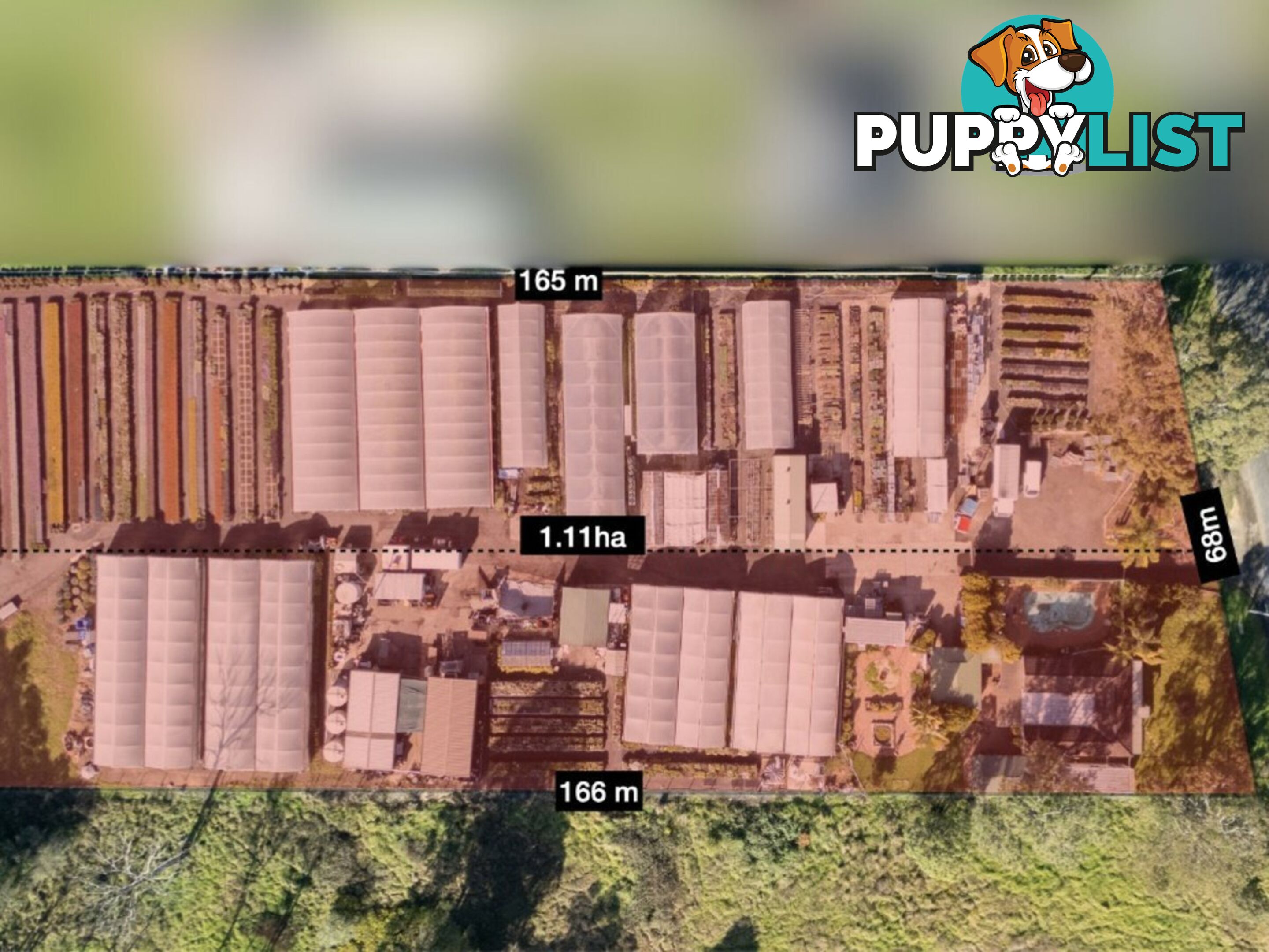 63 Wills Road LONG POINT NSW 2564