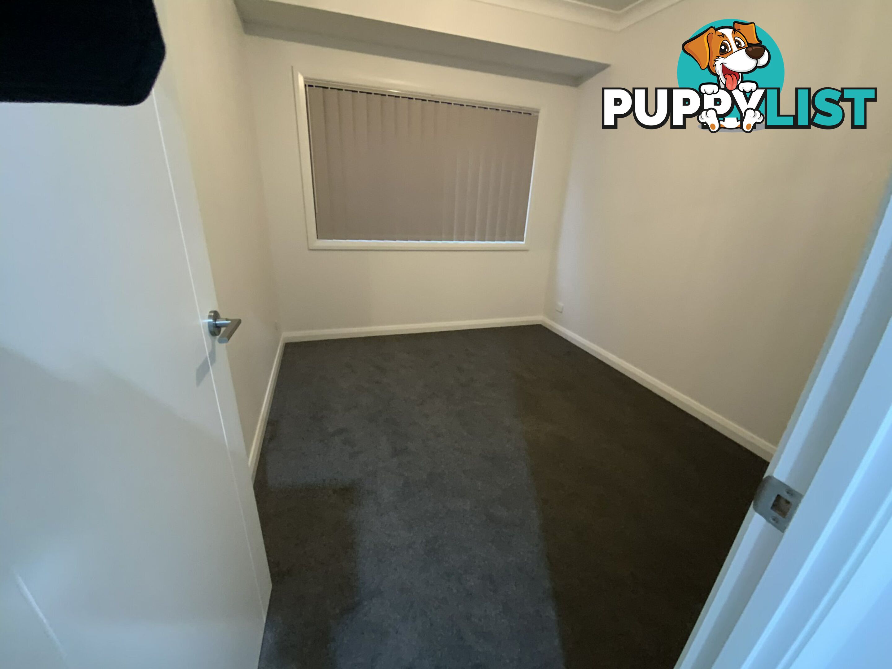 49 Eighth Avenue AUSTRAL NSW 2179