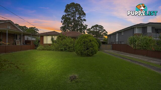 19 Durham Street MINTO NSW 2566