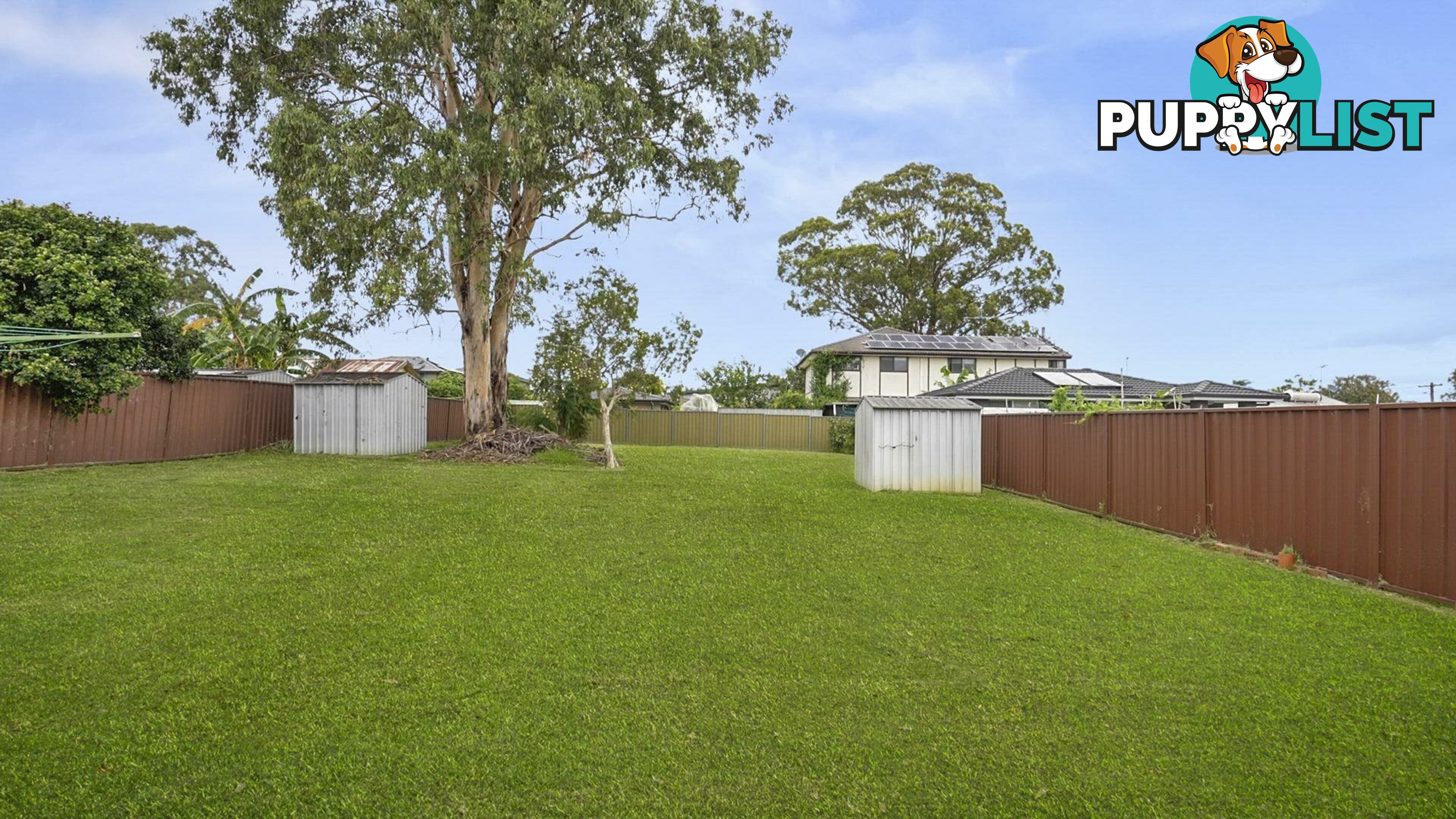 19 Durham Street MINTO NSW 2566