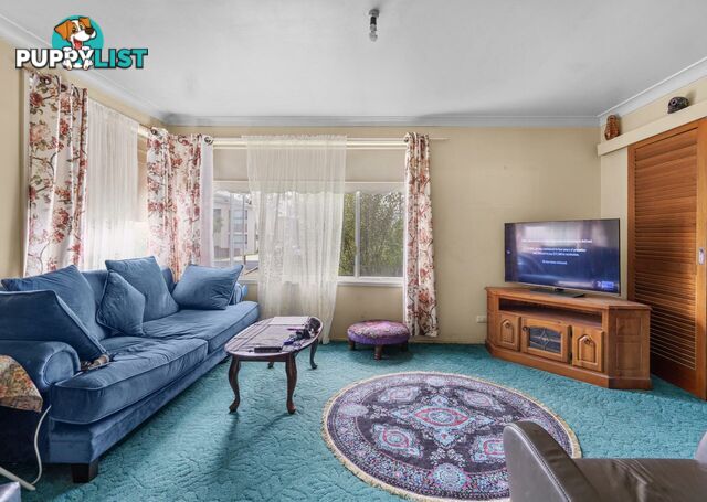 19 Durham Street MINTO NSW 2566