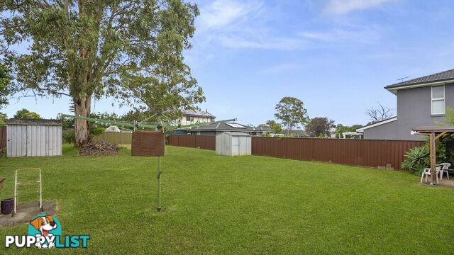 19 Durham Street MINTO NSW 2566