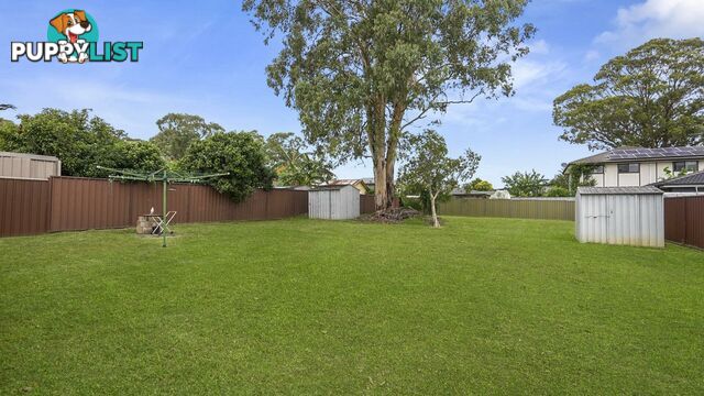 19 Durham Street MINTO NSW 2566