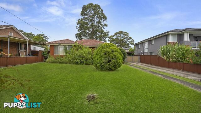 19 Durham Street MINTO NSW 2566