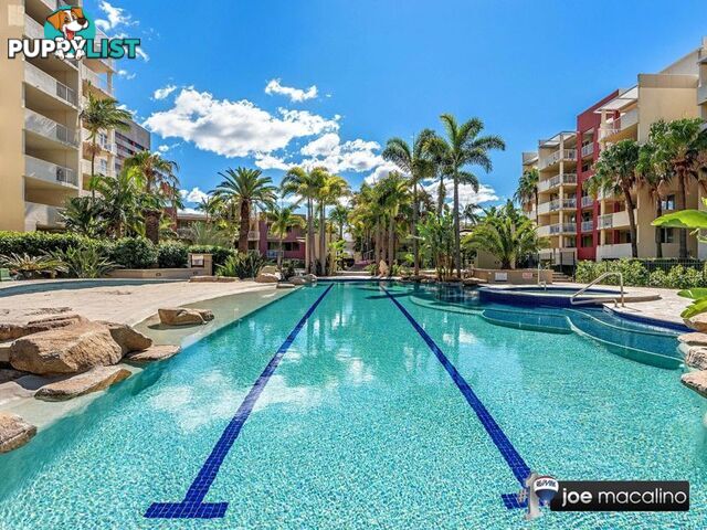 69/41 Gotha St FORTITUDE VALLEY QLD 4006