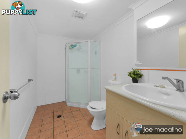 41 Gotha Street FORTITUDE VALLEY QLD 4006